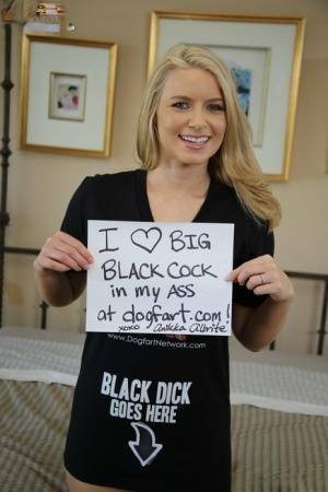 Hot blonde girl Anikka Albrite takes a massive black cock up her ass on dollser.com