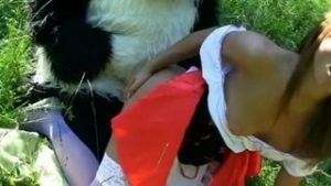 Young Red Riding Hood Fucking With Panda In The Wood on dollser.com