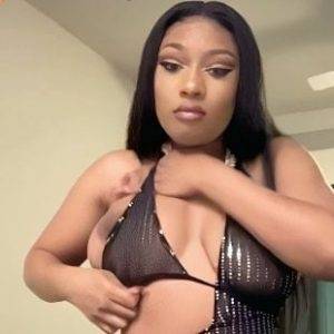 Delphine MEGAN THEE STALLION NUDE TIT SLIP AND ASS TWERKING COMPILATION on dollser.com