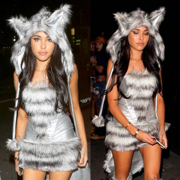 Madison Beer Halloween Candids Big Bad Wolf Cosplay Set Leaked - Usa - Madison on dollser.com