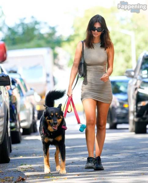 Emily Ratajkowski Looks Hot in a Mini Dress While Walking Her Dog in NYC (32 Photos) on dollser.com